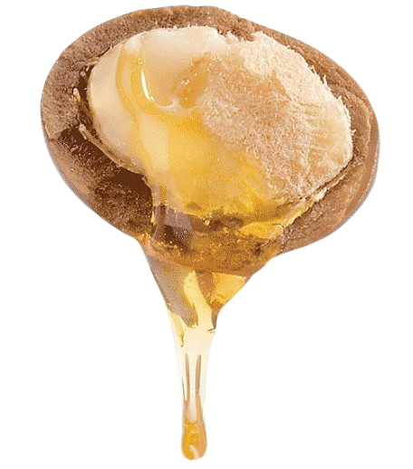 3 Oliën, Argan, Jojoba, Avocado Olie En Honing