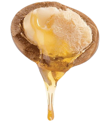 3 Oliën, Argan, Jojoba, Avocado Olie En Honing